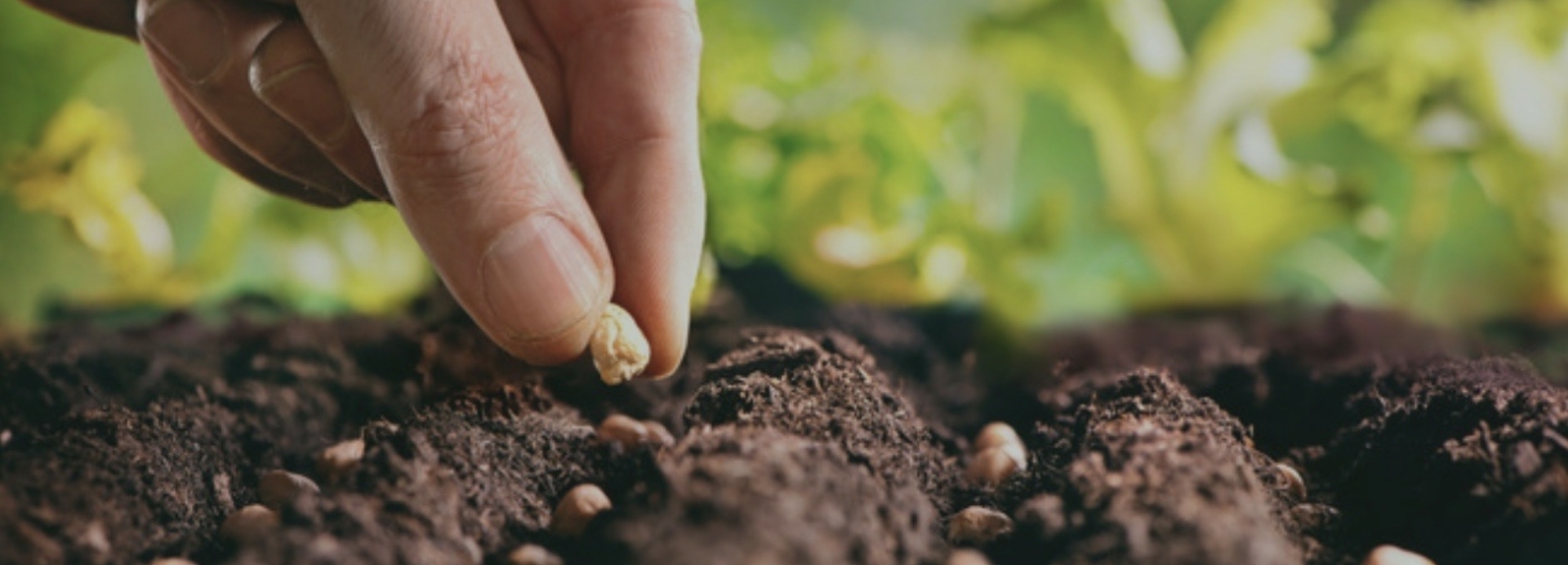 100% βιολογικά