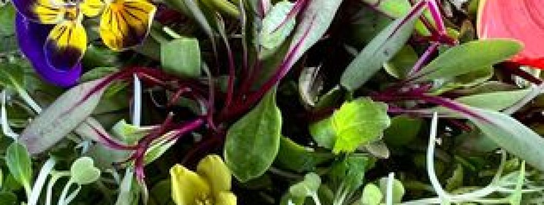Θάυμα τον microgreens