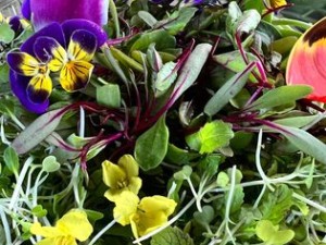 Θάυμα τον microgreens