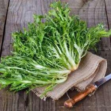 Αντίδι βιολογικό