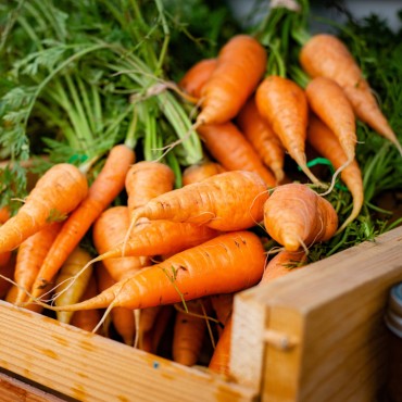 Καρότα βιολογικά