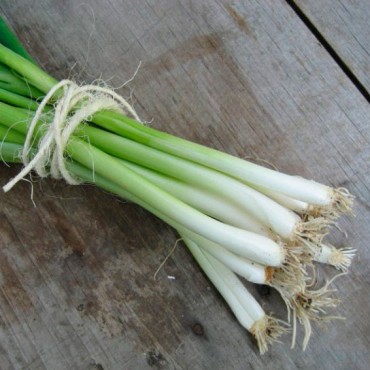 Φρέσκο κρεμμύδι βιολογικό