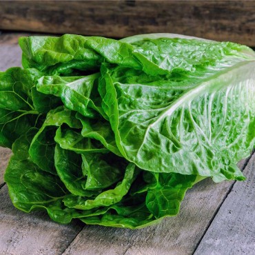 Μαρούλι βιολογικό