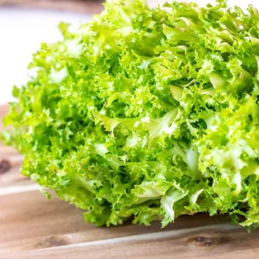 Μαρόυλι πράσινο lollo βιολογικό