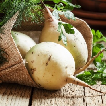 Ρέβα βιολογική