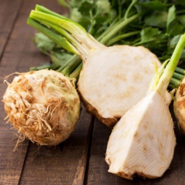 Σελινόριζα βιολογική