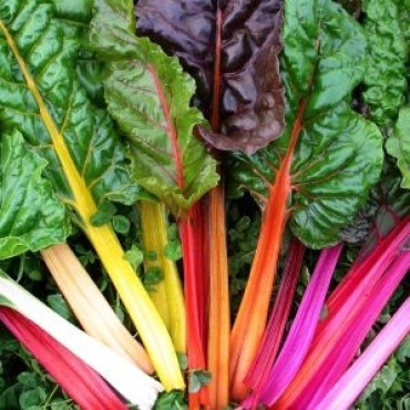 Σέσκουλο βιολογικό