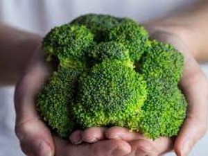Βιολογικό μπρόκολο