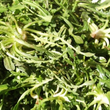 Ραδίκι άγριο βιολογικό