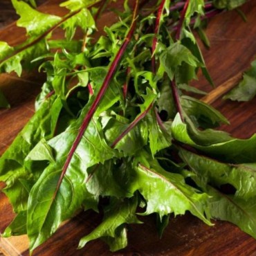 Ιταλικό ραδίκι βιολογικό