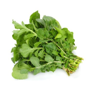 Ρόκα βιολογική